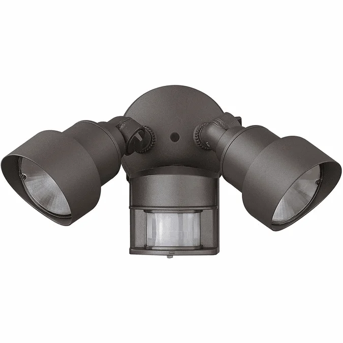 Acclaim Lighting LFL2ABZM Contemporary Architectural Bronze LED Exterior Floodlight