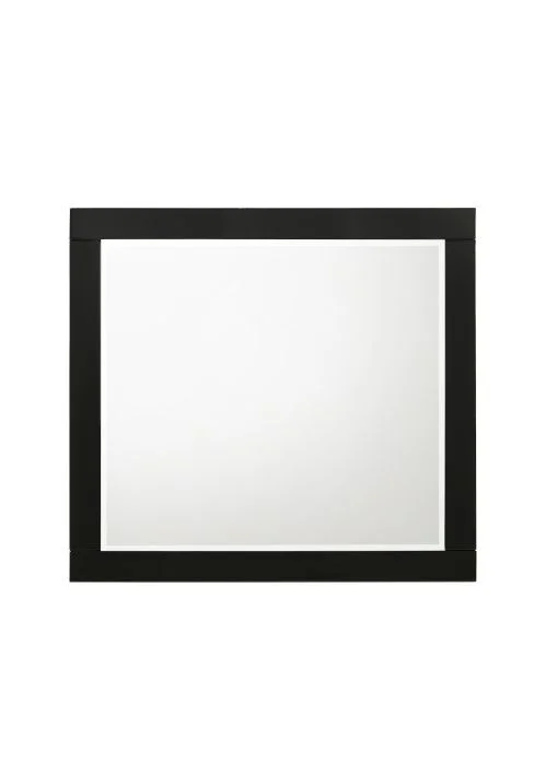 Acme Furniture Chelsie Mirror in Black 27414 EST SHIP TIME APPX 4 WEEKS