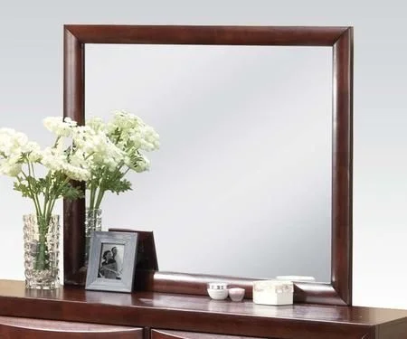 Acme Ireland Mirror in Brown 21454 EST SHIP TIME APPX 4 WEEKS