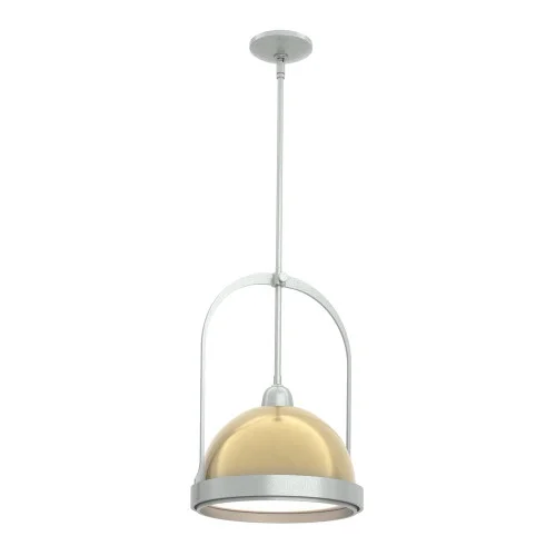 Atlas Small Pendant (65|187462-SKT-MULT-82-86)