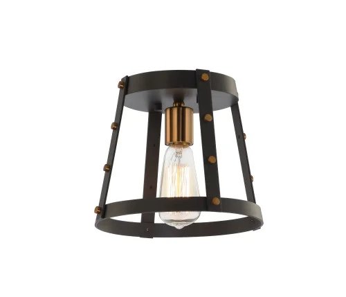 Beaton Ceiling Mount (3605|X72001MBAG)