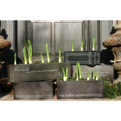 Bulb Forcer in Antique Black (45|BULB002)