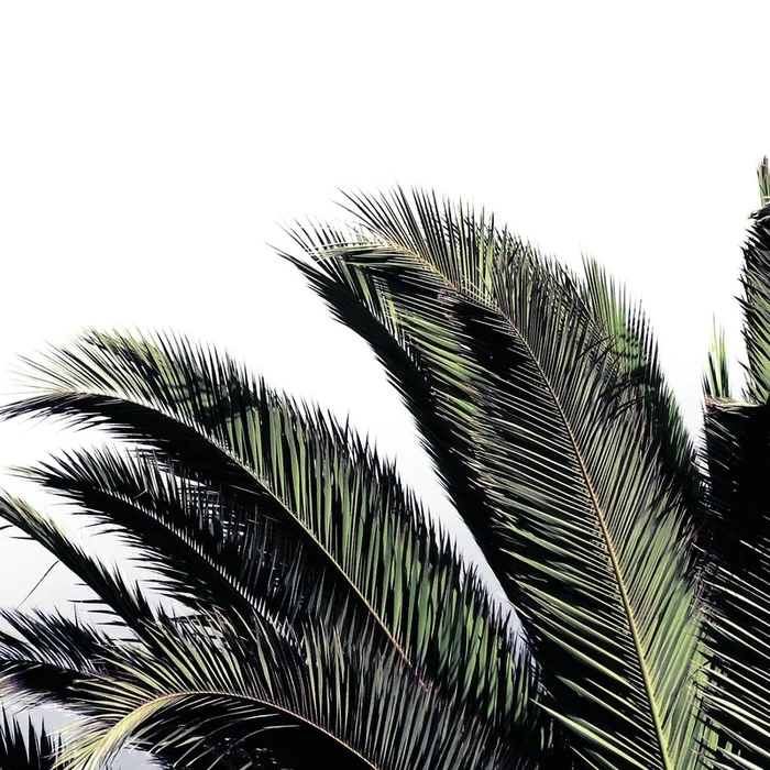 Cape Storm Giant Art 72×72 Wall Art|uvre dart murale Giant Art Cape Storm 72×72