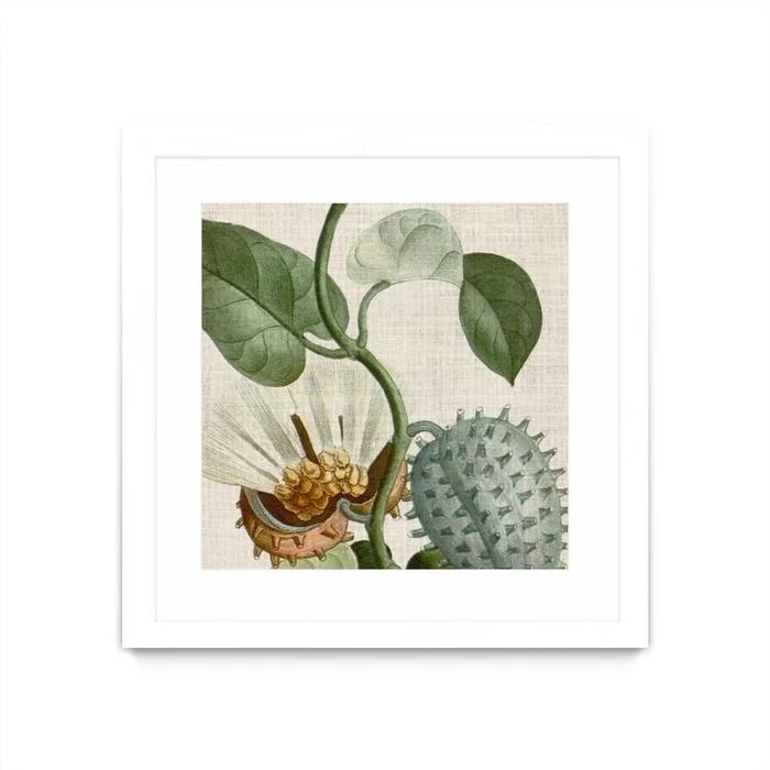 Cropped Turpin Tropicals Ii Matted and Framed White 36×36 Wall Art|uvre dart murale encadre blanche et mate Cropped Turpin Tropicals Ii 36×36