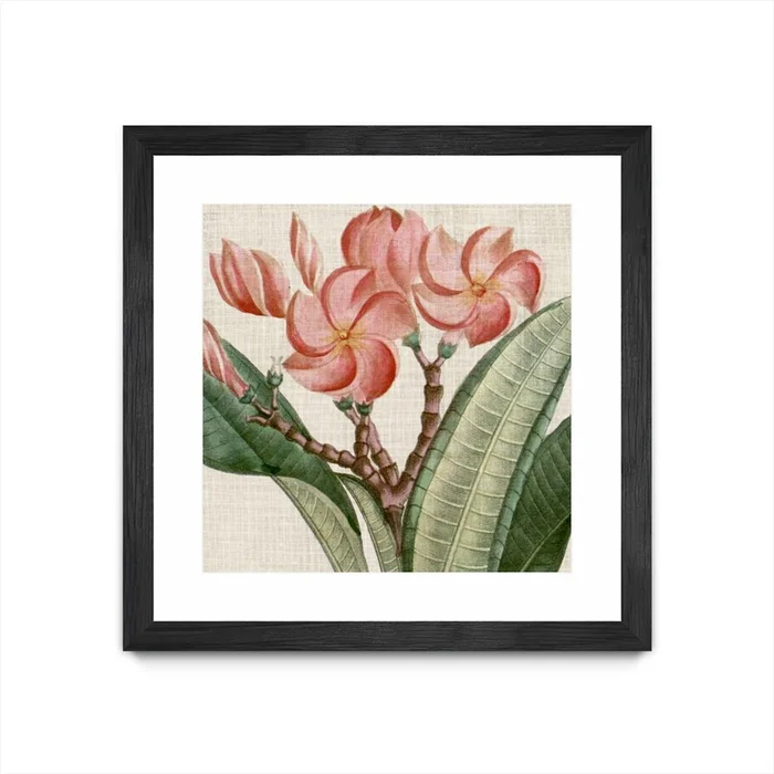Cropped Turpin Tropicals Vii Matted and Framed Black 36×36 Wall Art|uvre dart murale encadre noire et mate Cropped Turpin Tropicals Vii 36×36