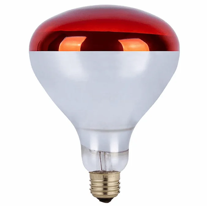 Cyber Tech IB250R40RDHL/2PK Contemporary RED Heat Lamp Bulb (Pack of 2)