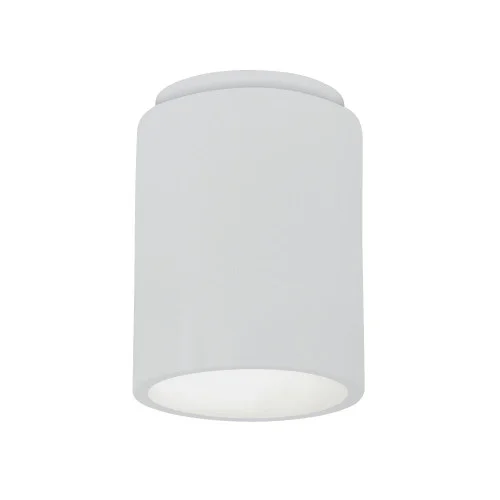 Cylinder Flush-Mount (Outdoor) (254|CER-6100W-WTWT)