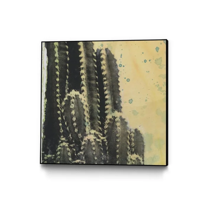 Desert Dreams Iv Canvas Framed Black 20×20 Wall Art|uvre d’art murale sur toile encadre noire Desert Dreams Iv 20×20