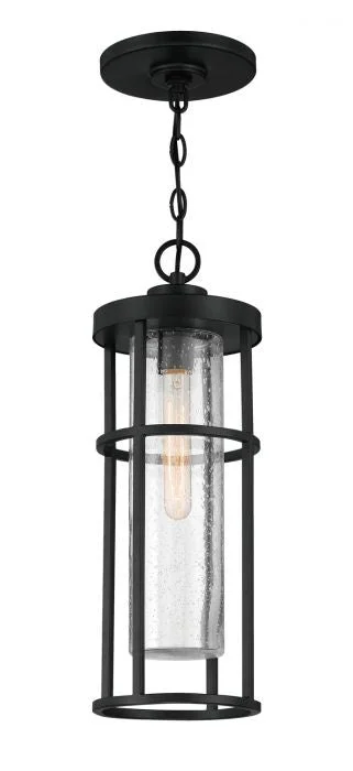 Encompass One Light Outdoor Pendant