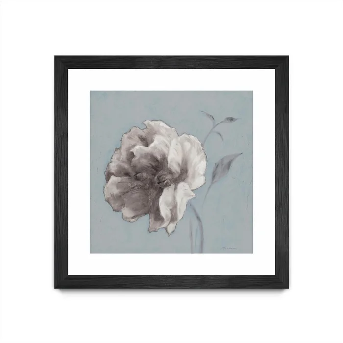 Floral Symposium Ii Matted and Framed Black 30×30 Wall Art|uvre dart murale encadre noire et mate Floral Symposium Ii 30×30