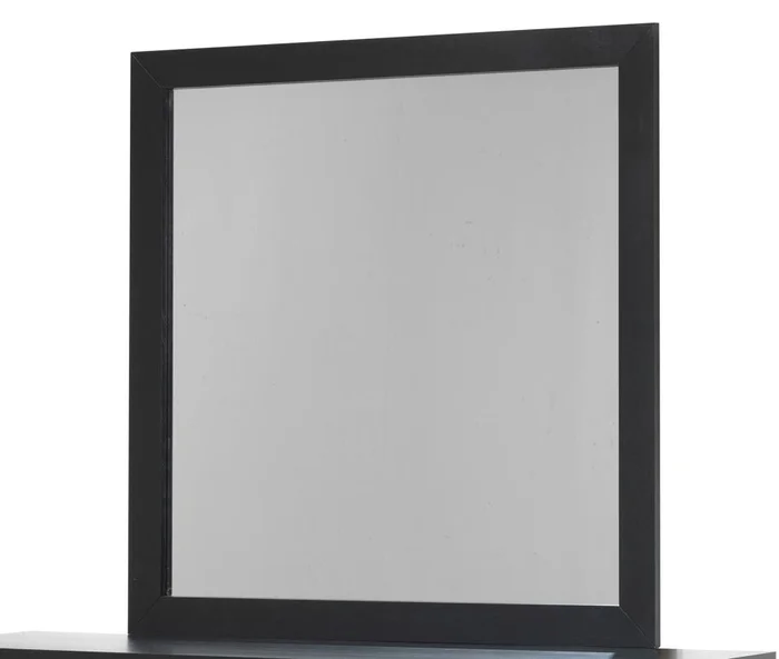 Glory Furniture Mirror in Black G2450-M