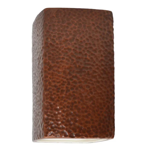 Large ADA LED Rectangle – Closed Top (Outdoor) (254|CER-5950W-HMCP-LED1-1000)