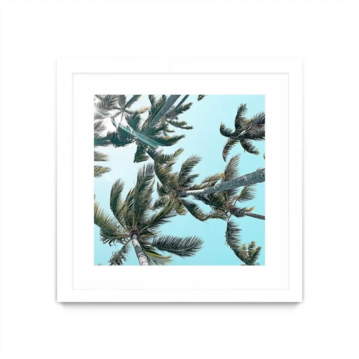 Palm 03 Matted and Framed White 30×30 Wall Art|uvre dart murale encadre blanche et mate Palm 03 30×30