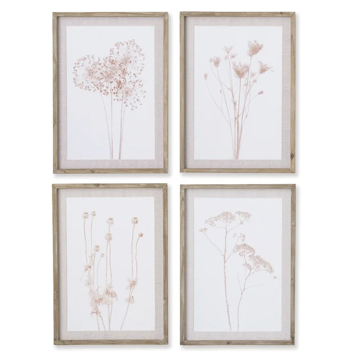 stylized botanical prints, set of 4