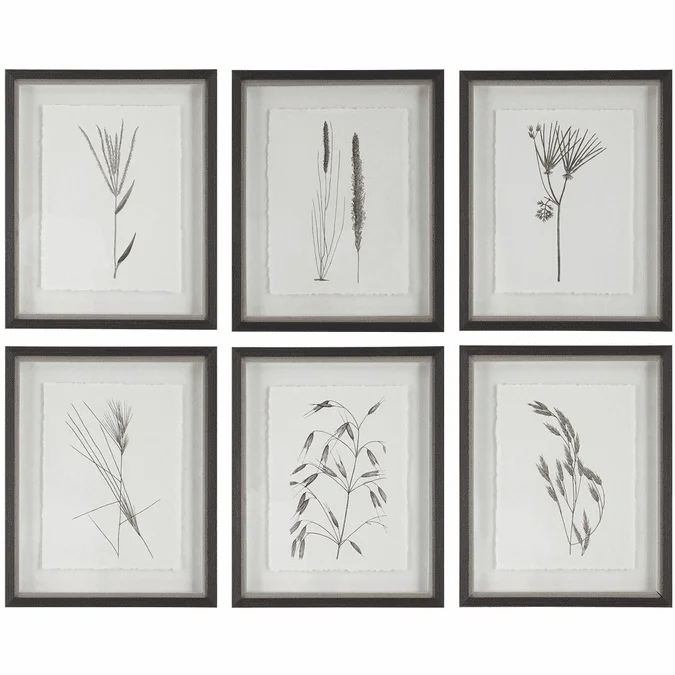 Uttermost 41459 Forest Finds Contemporary Botanical Print Wall Art