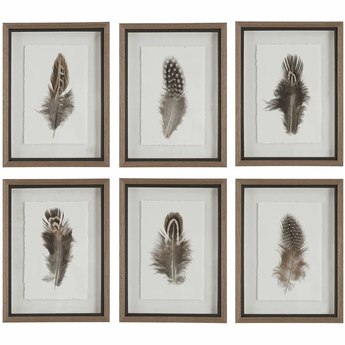 Uttermost 41460 Birds Of A Feather Contemporary Animal Print Wall Art